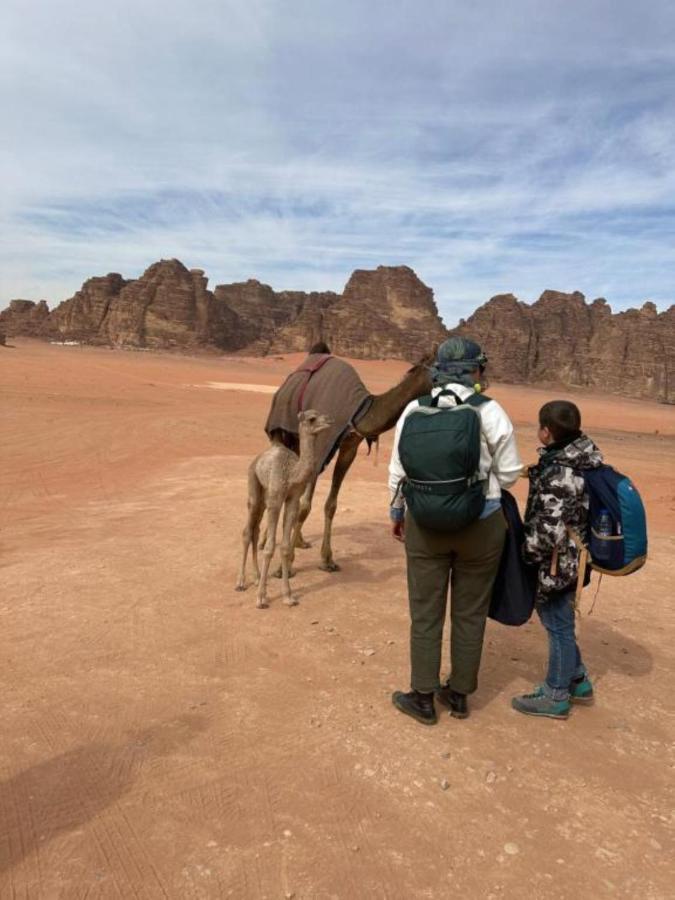 Calm Camp Bed & Breakfast Wadi Rum Exterior photo